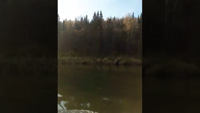Осень на Уфе. смотреть онлайн