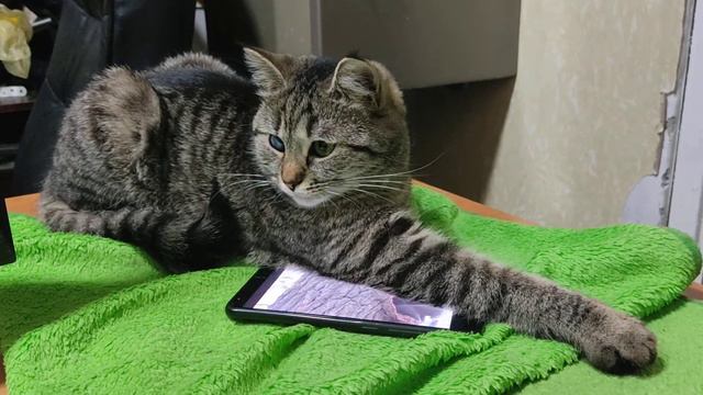 У ВСЕХ СВОИ СЕРИАЛЫ смотреть онлайн