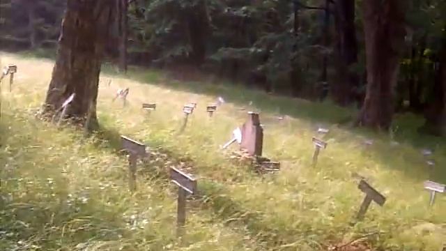 The Forgotten Souls of Letchworth Village смотреть онлайн