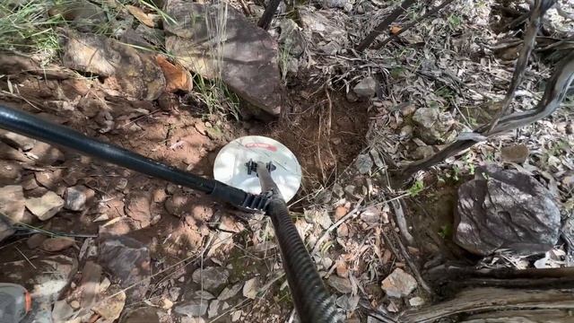 Minelab GPZ 7000 with the Nugget Finder Zsearch 12" coil смотреть онлайн