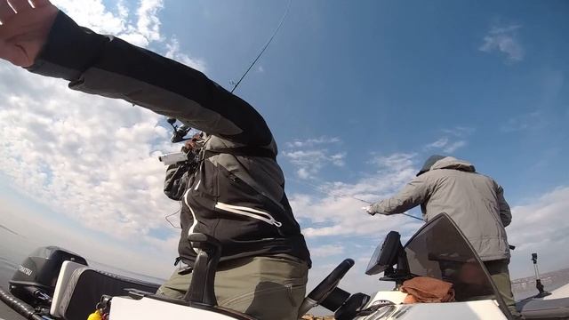 БЕШЕННЫЙ КЛЁВ ПЕРЕД ЗАПРЕТОМ. Спиннинговая ловля с лодки. смотреть онлайн