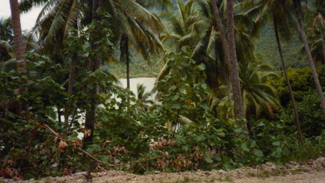 Tahiti music - Tiare Tarua by Esther смотреть онлайн