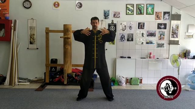 Цигун для здоровья. Урок 4. Хуньюань чжуан. Столб смешанного изначального. смотреть онлайн