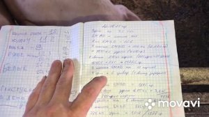 Зачем эти свиньи нужны?//Сколько денег заработал на одной свинке?//Выгодно ли Свиноводство?