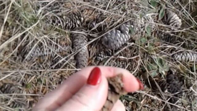 Очень душевный стих "А знаешь жизнь загадочная штука" Дмитрий Кудрявцев смотреть онлайн