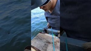 Мостик в воду (трапик), причал для лодки и рыбалки