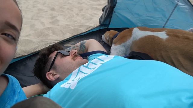 Taking Our Greyhound To The Beach For The First Time смотреть онлайн