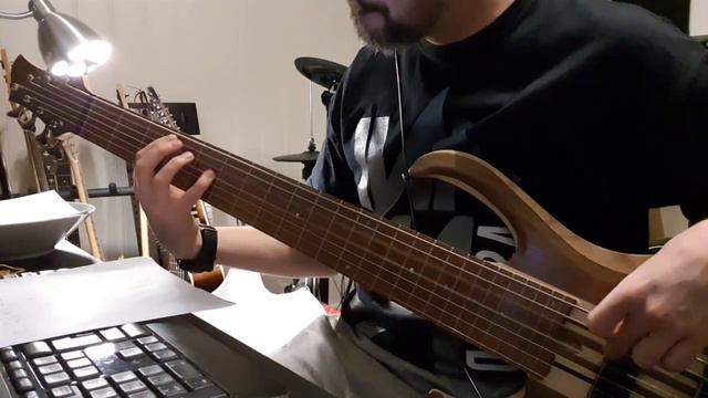 Big Reveal 7 String bass смотреть онлайн