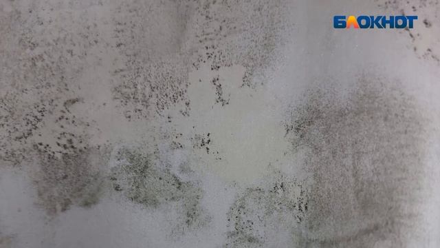 Ребенок-инвалид в Волжском смотреть онлайн