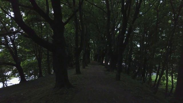 Non Dolet [ DREAM AMBIENT | TRIP-HOP ] dreamlover (2018) смотреть онлайн