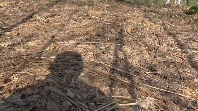 На участок с легкой - грузовой тележкой 2022 г. смотреть онлайн