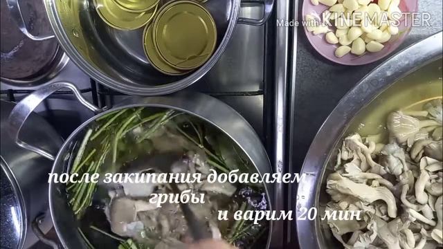 Самый быстрый рецепт грибов на зиму смотреть онлайн