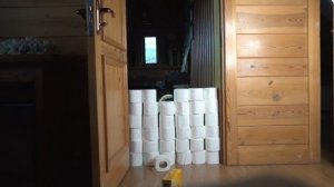 Симбочка и Арти прыгают через туалетную бумагу???