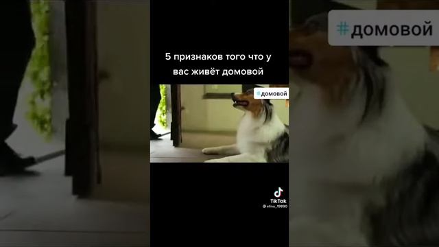 5 признаков что у вас дома живёт домовой😳 смотреть онлайн