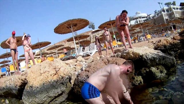 Осьминог выстрелил чернилами на парня. Скат, кальмары. Reef Oasis Beach смотреть онлайн