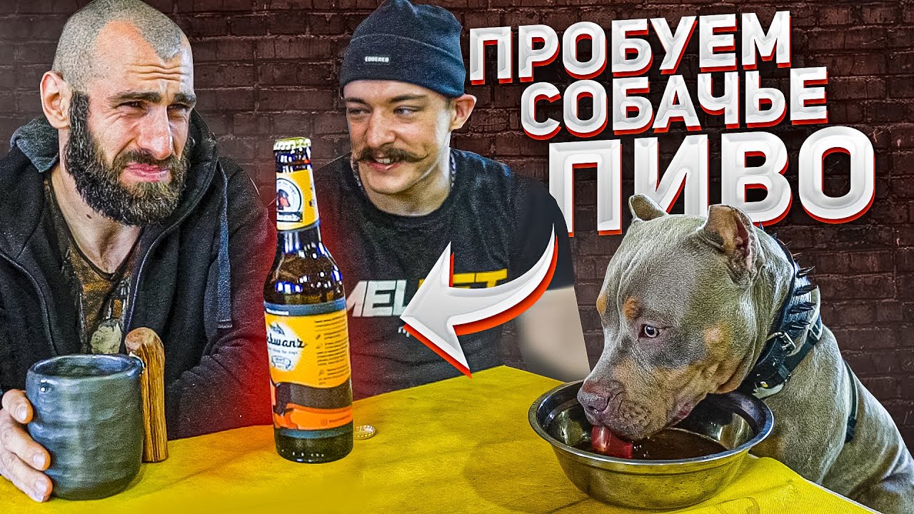 ПРОБУЕМ СОБАЧЬЕ ПИВО смотреть онлайн