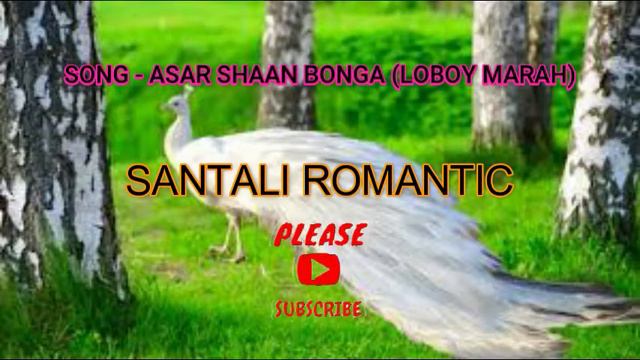 ASAR SHAAN BONGA (LOBOY MARAH)// SANTALI ROMANTIC смотреть онлайн