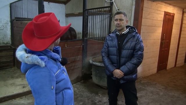 Дикие кони. Вопросы о приручении и содержании.