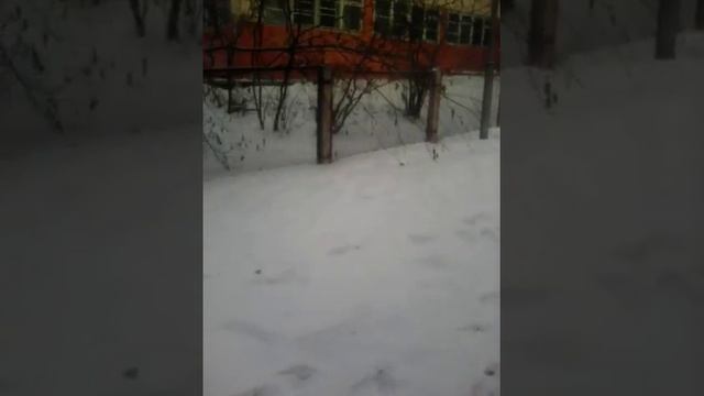 САЯНСК МИКР.ОЛИМПИЙСКИЙ,ИРКУТСКОЙ.ОБЛ.