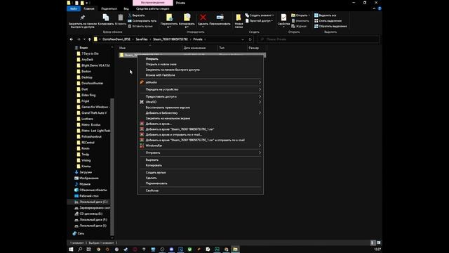 Osiris New Dawn Experimental Branch- Черный экран при запуске singl player. смотреть онлайн