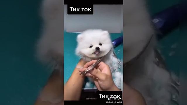 5 ноября 2020 г. смотреть онлайн