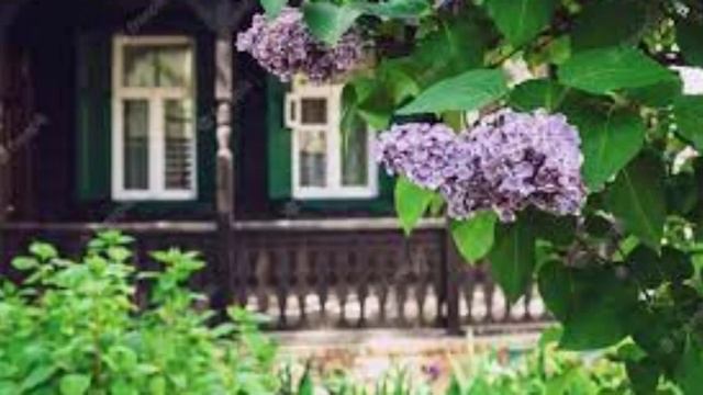 Налетели вдруг дожди Сергей Банщиков Проигрыш Я свистю смотреть онлайн
