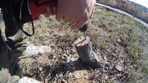 Как избавиться от корней сливы, вишни.