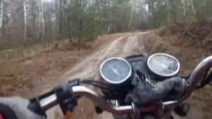 ПОКАТУШКИ НА МОПЕДЕ АЛЬФА / ВСТРЕТИЛ ЗВЕРЯ В ЛЕСУ / КАТАЮСЬ ПО ЛЕСУ