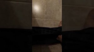 Солнышко лучистое улыбнулось весело