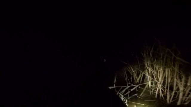 Подводная охота в Дагестане!!!!Ночная подводная охота на щуку!!Падение квадрокоптера! смотреть онлайн