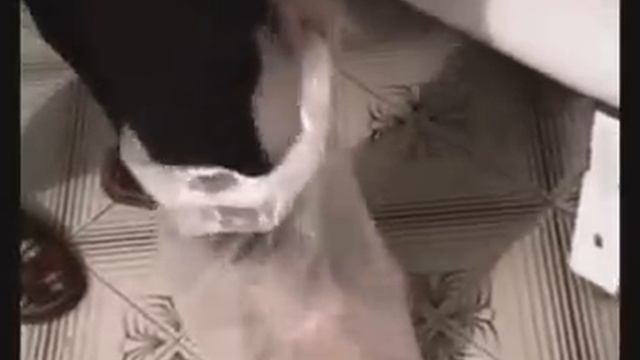 Изготовление грибных блоков вешенка в домашних условиях смотреть онлайн