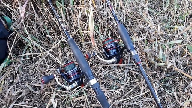 Осенний ОКУНЬ на КАРОЛИНСКУЮ ОСНАСТКУ и микроджиг. Семейная рыбалка на реке со спиннингами. смотреть онлайн