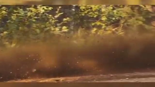 Cross Bike Suzuki GSXR 1000 DIRTBIKE.Maximum Penetration Through The Forest