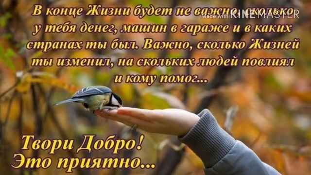 Трогательное видео до слез! смотреть онлайн