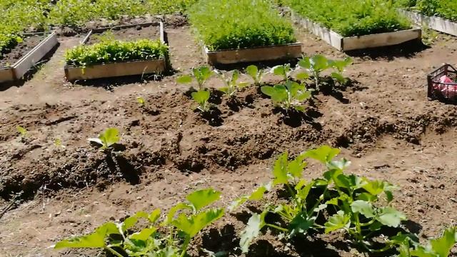 Большая стирка ковров/ День рождение старшей дочки 14 лет / Провожаем гостей /Осмотр огорода/Купани смотреть онлайн