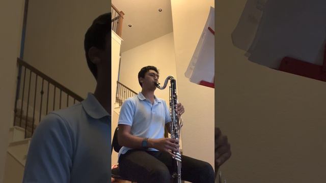 Ansh Chouhan Bass Clarinet GDYO Audition смотреть онлайн