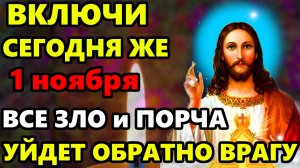 1 ноября ВКЛЮЧИ И НАКАЖИ ОБИДЧИКА! Все зло и порча уйдет обратно врагу! Сильная православная молитва