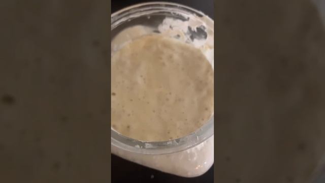 This "Bread Maker" Makes The Best Bread!!! смотреть онлайн