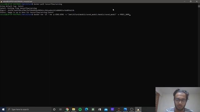 Deploying Tensorflow Models using Docker, Tensorflow Serving and Heroku on WSL смотреть онлайн