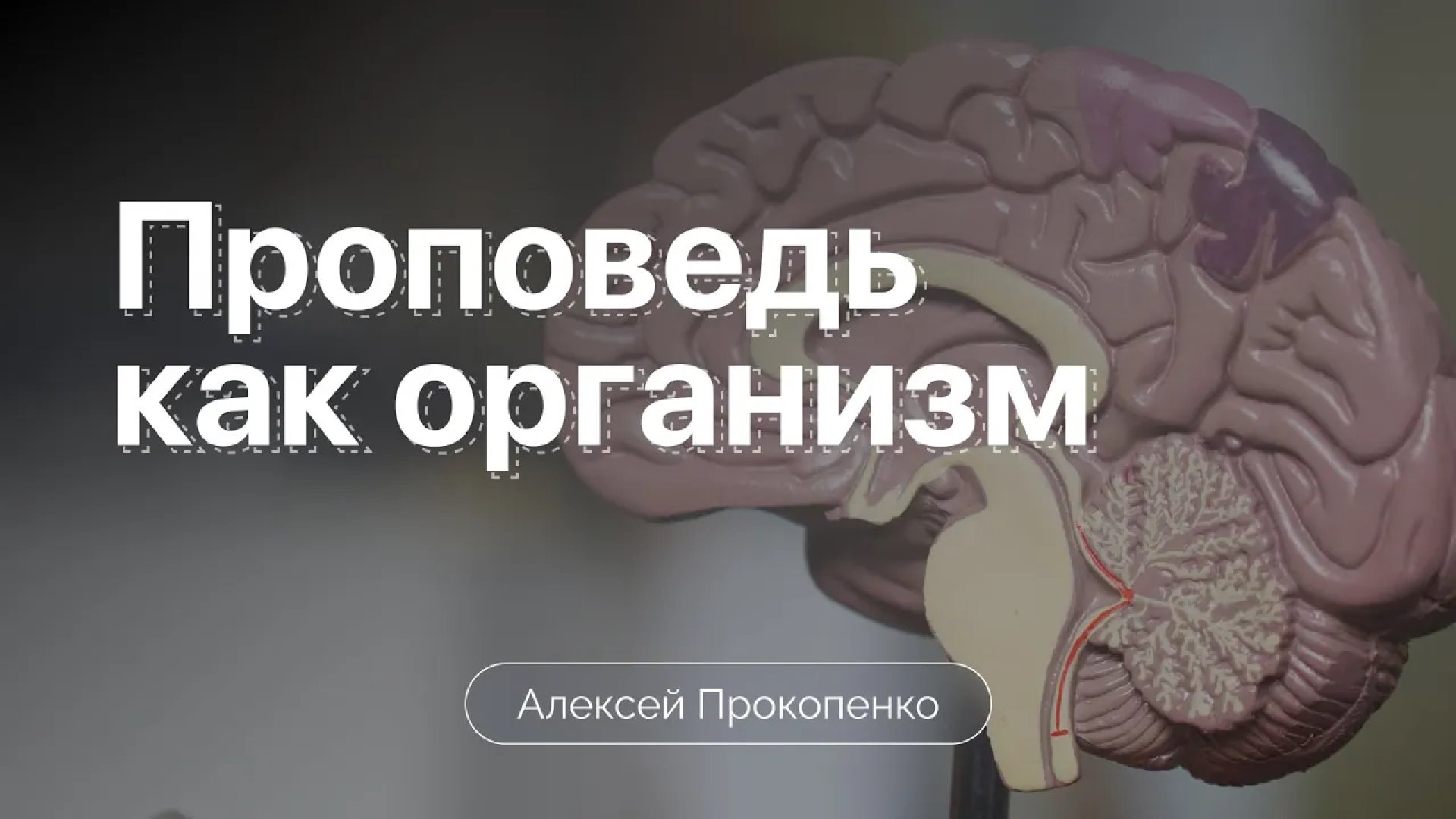 Проповедь как организм | Метафоры проповеди | Алексей Прокопенко