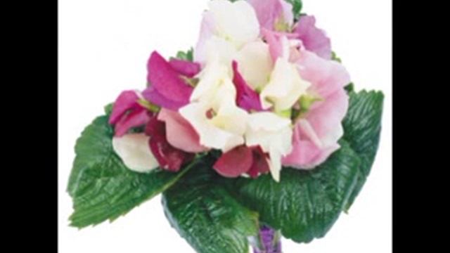 Дарите женщинам цветы! смотреть онлайн