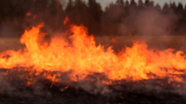 Видео бомбануло! Пожарища травы на поле огня... Смотри. смотреть онлайн