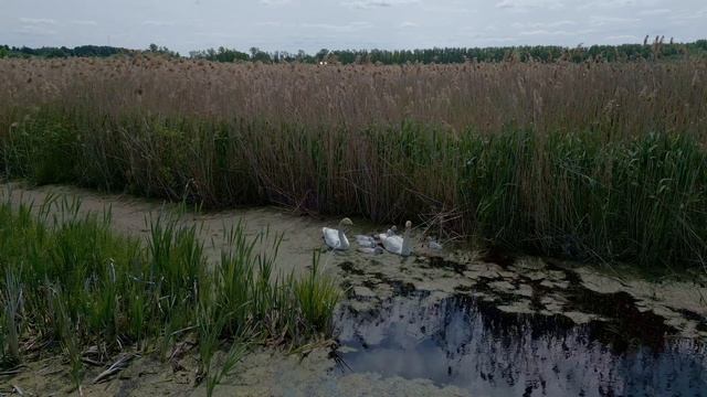 Архивное. Воскресенье. Евангелие "О слепом". смотреть онлайн