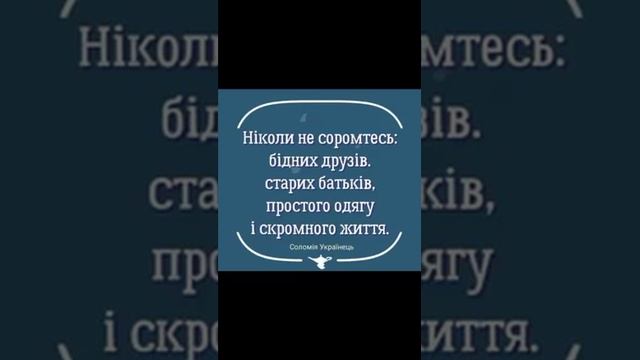 341197223_204573192315962_6762187237471162502_n