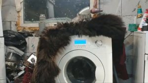 Стираем На Занусси