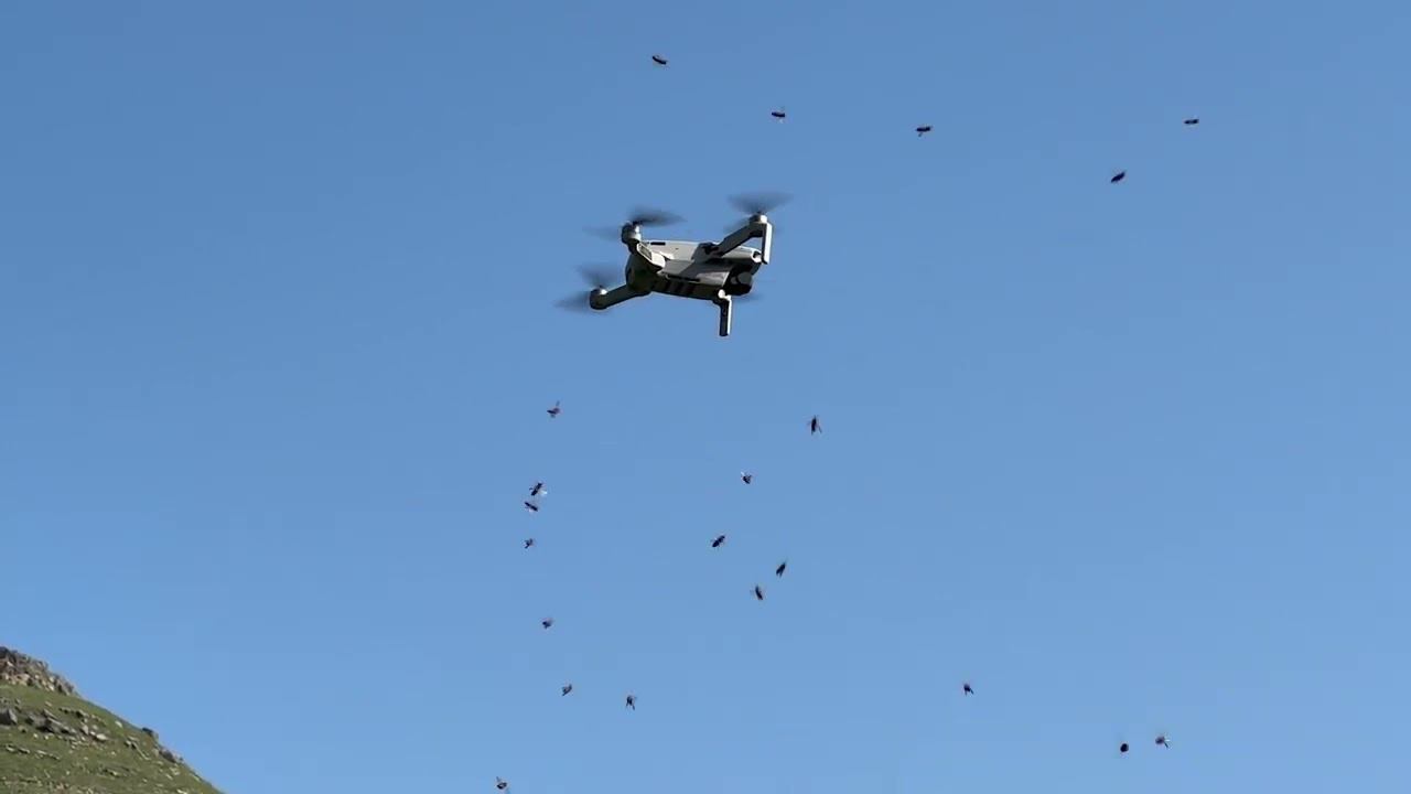 Атака на ДРОН