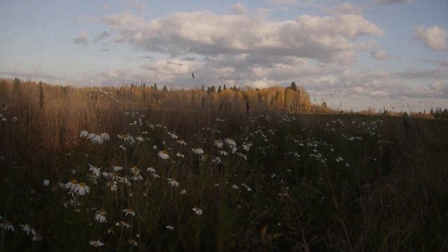 Глухомань - В Сибирской тайге. смотреть онлайн