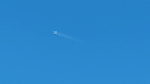 24.11.22. Петунья все ещё радует нас своим цветением. Швейцария. смотреть онлайн