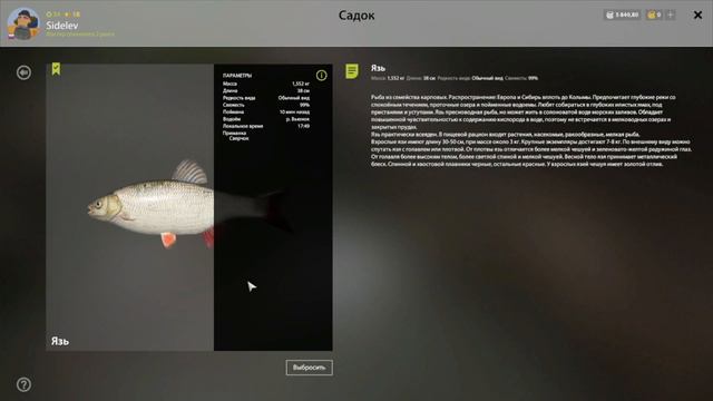 рр4 Этап №5.Поймать на водоеме р. Вьюнок Язя массой не менее 1.5кг смотреть онлайн