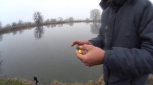 ЛОВЛЯ ФОРЕЛИ на ПАСТУ!